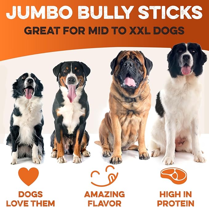 BRUTUS & BARNABY Bully Sticks for Dogs, Jumbo – Low-to-No Odor, Grass-Fed, Rawhide-Free Chews for Aggressive Power Chewers