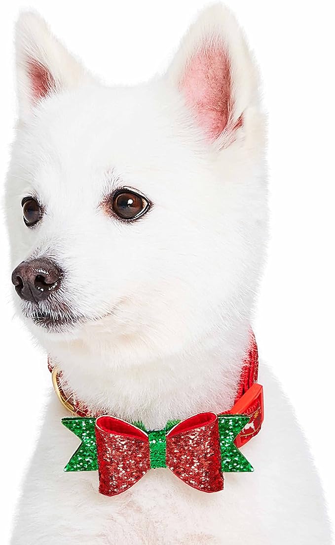 Blueberry Pet Christmas Dog Collar with Bow, Medium, Adjustable Holiday Collar for Medium & Small Dogs, Award-Winning Brand, Fits 14.5"-20" Neck