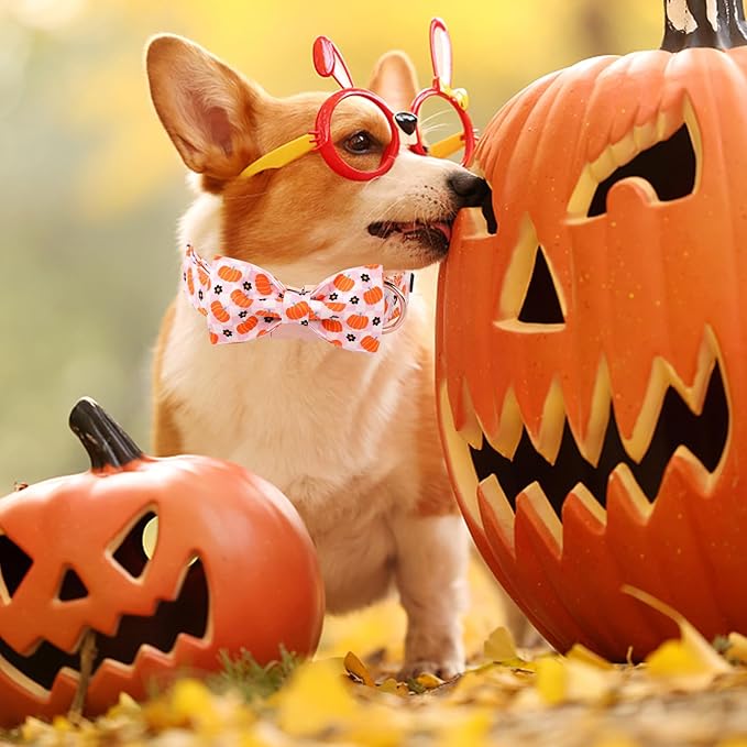 Unique Style Paws Halloween Day Dog Collar with Bow Pink Pumpkin Cotton Dog Collars for Small Medium Large Dogs