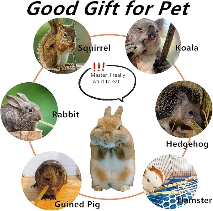 Rabbit Toys 285g/10oz 4 in 1 Bunny Chew Treats for Grinding Teeth Guinea Pig Biting Toy Hamster Molar Food Timothy Sticks Sweet Bamboo Apple Branch Dental Snacks for Small Animals Rodent