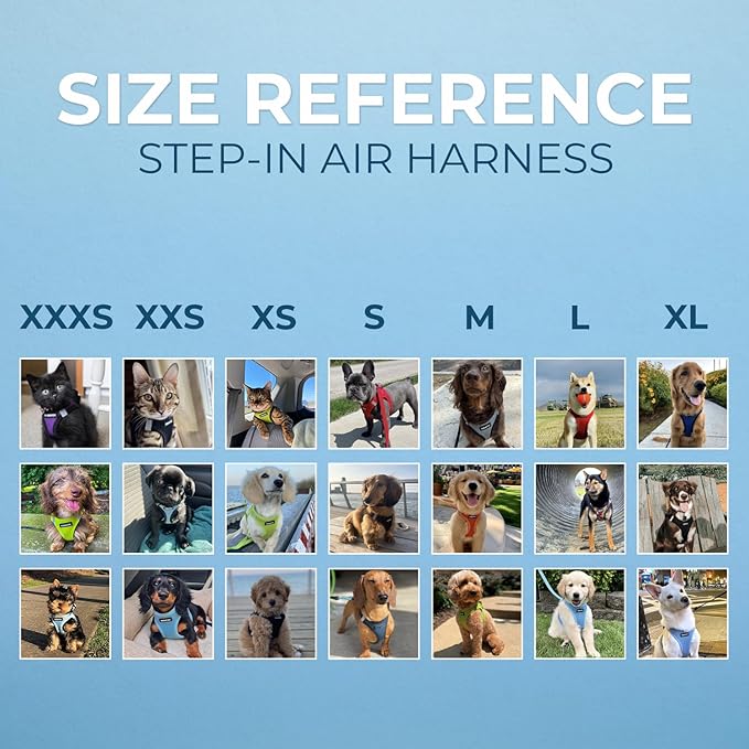 Best Pet Supplies Voyager Step-in Air Harness - All Weather Mesh, Reflective, No Pull Harness for Dogs, Cats - Secure with Hook & Loop Fastener, Buckle, Double D-Rings - Fuchsia, L