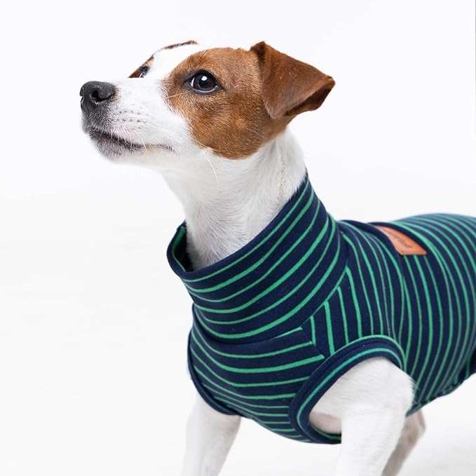 FUAMEY 2 Pack Dog Fleece Vest for Large Dogs,Shih Tzu Frenchie Stretchy Dog Sweatshirts Warm Dogs Pullover Winter Pet Sweaters with Leash Hole Puppy Turtleneck Sleeveless Green Stripes L