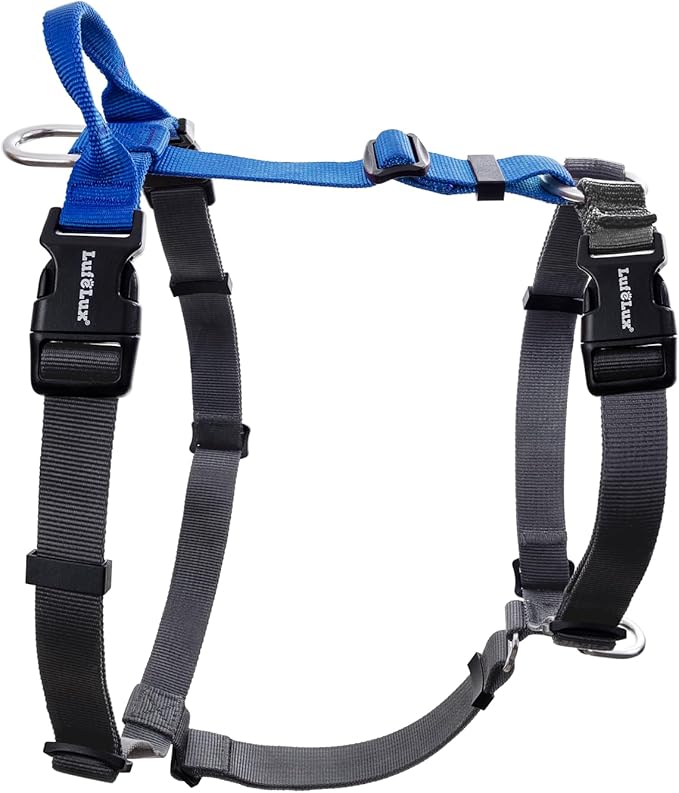 Non-Restrictive Dog Harness, Easy Walk Freedom No Pull Harness, Keep Balance, Neck-Buckle, Six Points Adjustment, 2 Leash Clips for Back and Front Clip (Blue/Black, Small)