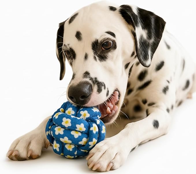 My Pet & Me – Knotted Ball Rope Dog Toy (2.7 Inch) – Dog Chew Toy for Puppies and Small Dogs – Ideal for Fetch, Teething, and Interactive Play