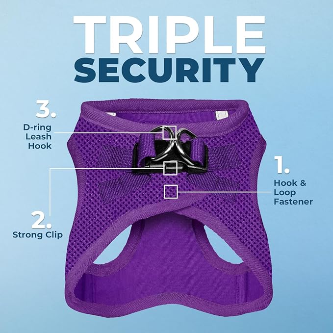 Best Pet Supplies Voyager Step-in Air Harness - All Weather Mesh, Reflective, No Pull Harness for Dogs, Cats - Secure with Hook & Loop Fastener, Buckle, Double D-Rings - Purple, M