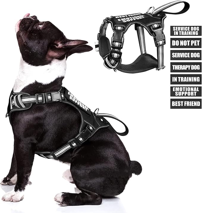 WINSEE Service Dog Vest No Pull Dog Harness with 7 Dog Patches, Reflective Pet Harness with Durable Soft Padded Handle for Training Small, Medium, Large, and Extra-Large Dogs (Medium, Black)
