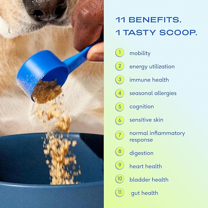 Native Pet Beef Bone Broth Powder for Dogs (19 Oz.) & Daily Dog Multivitamin (28 Oz.) - Daily Multivitamin for Pups and Pet Gravy Food Topper for Picky Eaters
