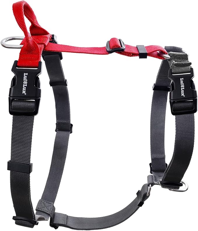 Non-Restrictive Dog Harness, Easy Walk Freedom No Pull Harness, Keep Balance, Neck-Buckle, Six Points Adjustment, 2 Leash Clips for Back and Front Clip (Red/Black, Small)