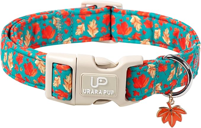 Fall Dog Collar for Small Medium Large Dogs-Adjustable Autumn Leaf Print Dog Collar with Maple Charm, Cute Seasonal Pet Collars with Quick Release, Soft Durable Puppy Collars