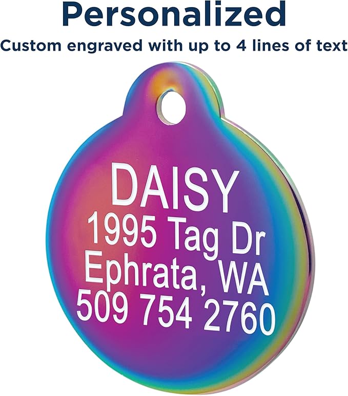 GoTags Personalized Small Indoor Cat Tag - Engraved with 4 Lines of Custom ID, Gold Stainless Steel Round Pet ID Tag