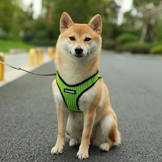 Best Pet Supplies Voyager Step-in Air Harness - All Weather Mesh, Reflective, No Pull Harness for Dogs, Cats - Secure with Hook & Loop Fastener, Buckle, Double D-Rings - Lime Green 2-Tone, S