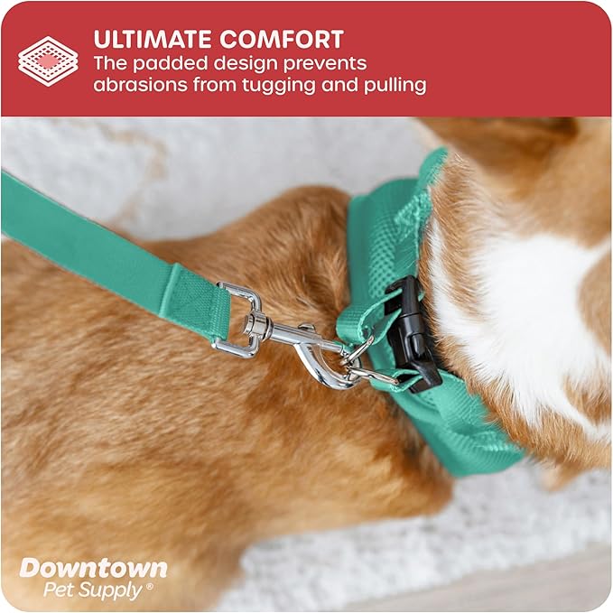 Downtown Pet Supply Step in Dog Harness for Small Dogs No Pull, Medium, Bermuda Blue - Adjustable Harness with Padded Mesh Fabric and Reflective Trim - Buckle Strap Harness for Dogs