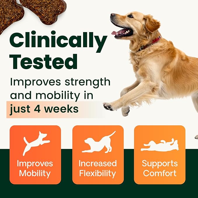 VetriScience Extra Strength Healthy Hip & Joint Chews, GlycoFlex 3, Glucosamine, Green-Lipped Mussel, Joint Support Supplement for Dogs, Promote Mobility & Soothe Joint Discomfort, Chicken, 120 Count