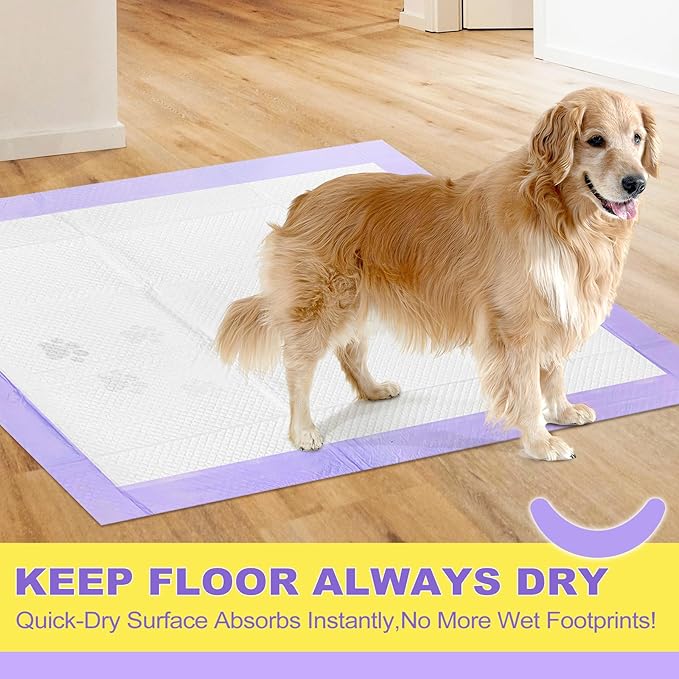 MIZOK Dog Pads Extra Large 28x44in, XXL Potty Pads for Dogs, Keeps Fresh & Clean, Ultra Absorbent Up to 12 Cups, 6 Layers Leak-Proof, Purple Lavender Color (30 Counts)