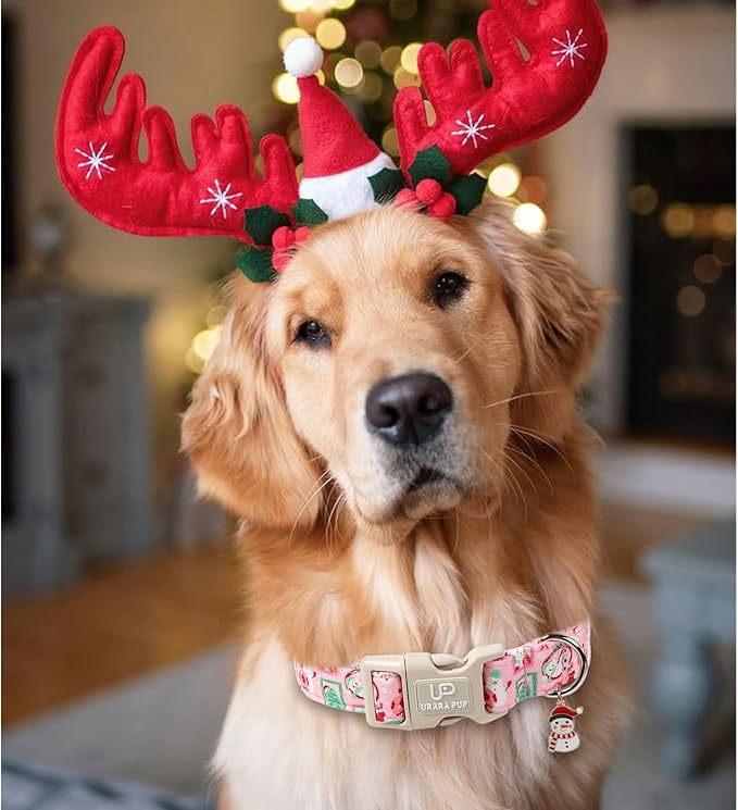 Christmas Dog Collars - Lovely Pink Snowman and Lantern Print Dog Collar - Lightweight, Adjustable Collar for Small to Large Dogs M