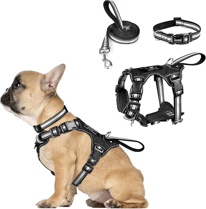 WINSEE Pet Harness Collar and Leash Set, All-in-one Reflective Dog Harness No Pull with Adjustable Buckles for Puppies, Small, Medium, Large, and Extra-Large Dogs (Small, Black)