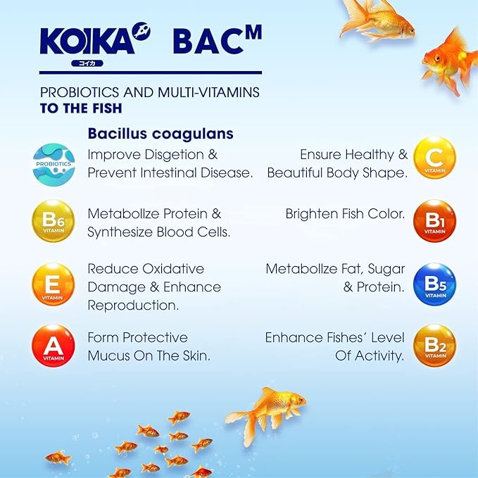 KOIKA BACM Natural Color Enhancement for Fish, Combination of Probiotic & Multi-Vitamins for Aquarium A, B6, B2, Pleasant Smell (BACM, 105ml)