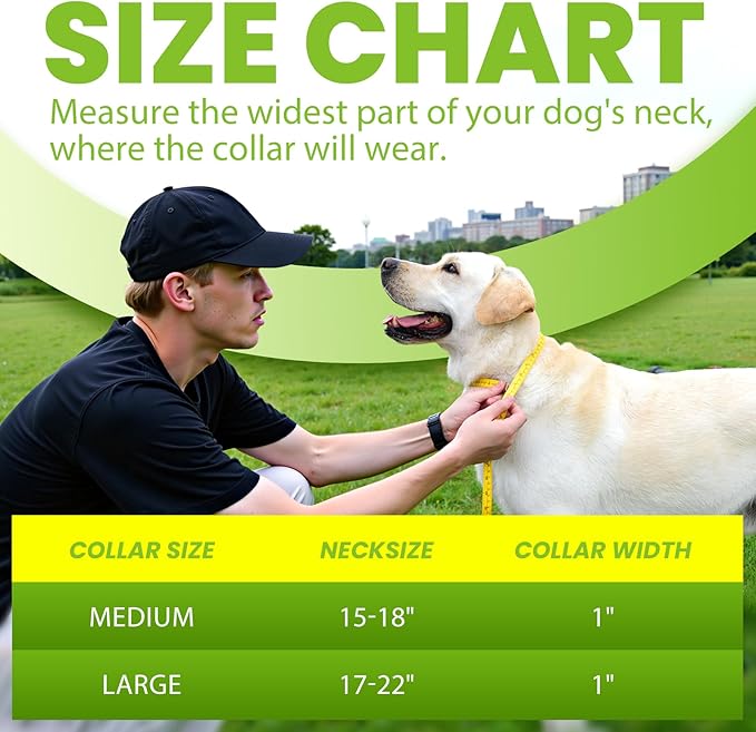 Heavy Duty Dog Adjustable Breathable Nylon Collar for Medium to Large Breeds Dogs with Control Handle Quick Release Metal Buckle Soft Neoprene Padded & Reflective Stitching