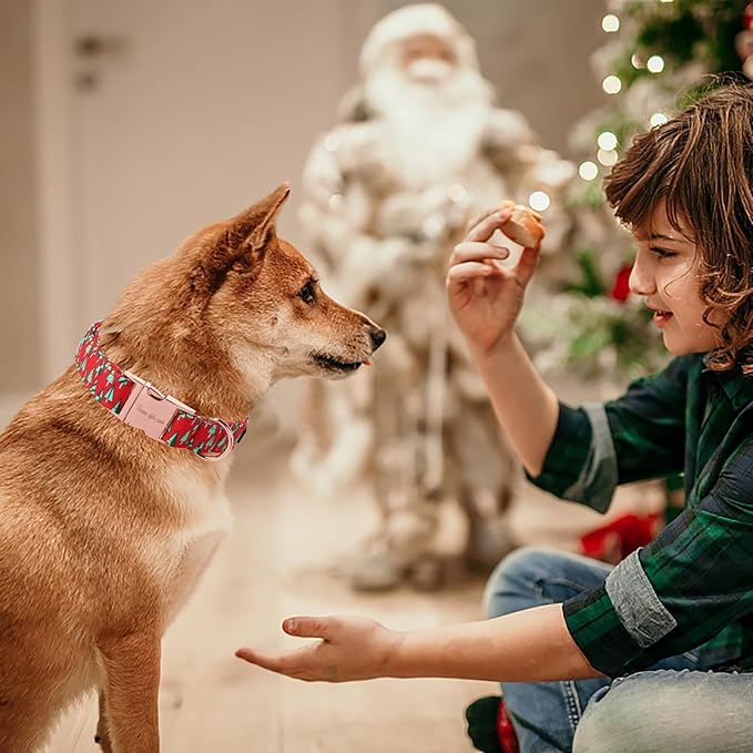 Unique style paws Dog Collar Metal Buckle Puppy Collar for Winter Christmas Tree for Small Medium Large Boys Girls Dogs