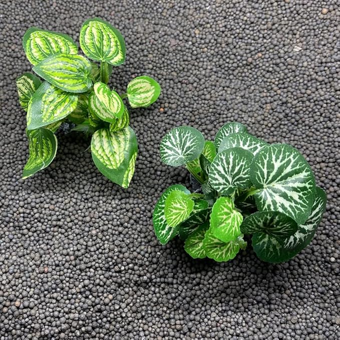 Smoothedo-Pets Aquarium Plants Betta Fish Tank Decorations 4inch/2pcs Soft Silk Artificial Plant Goldfish Waterscape Fish Hides Snake Tank/Reptiles Plants(A-2pcs Set/Green)