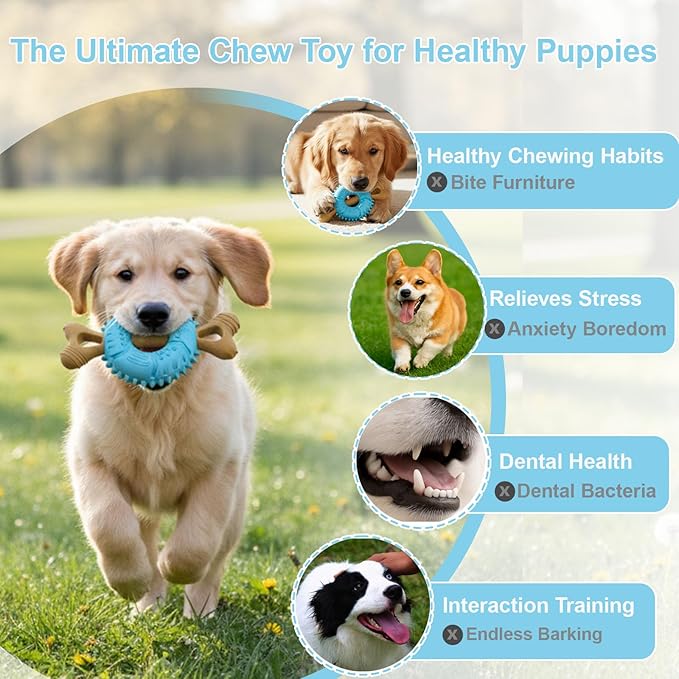 Puppy Chew Toys for Teething, Indestructible Dog Chew Toys for Aggressive Chewers - Small & Medium Breeds, Tough Puppy Toys to Keep Them Busy and Relieve Anxiety, Bone & Tire Shape Rubber Dog Toy