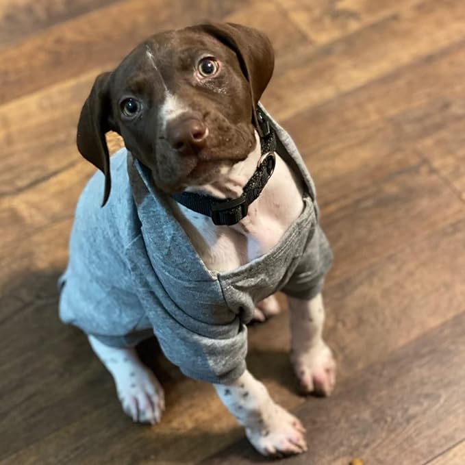 Jecikelon Winter Dog Hoodie Sweatshirts with Pockets Warm Dog Clothes for Small Dogs Chihuahua Coat Clothing Puppy Cat Custume (Grey, XX-Small)