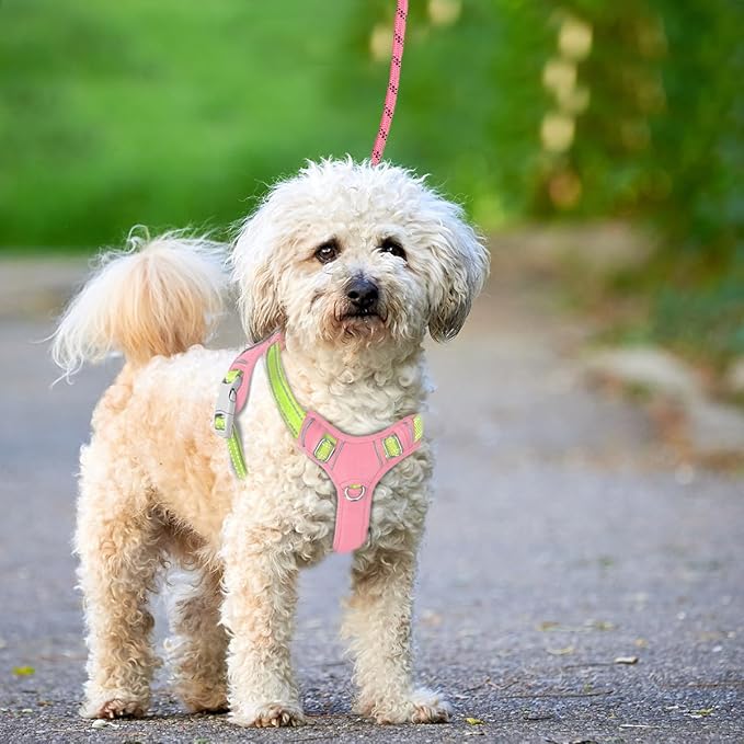 BARKBAY No Pull Dog Harness Large Reflective Dog Harness with Front Clip and Easy Control Handle for Walking Training Running with ID tag Pocket(Baby Pink & Sunlight,S)