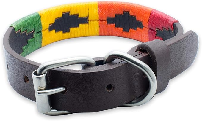 Leather Dog Collar in Orange by Gaucho Goods