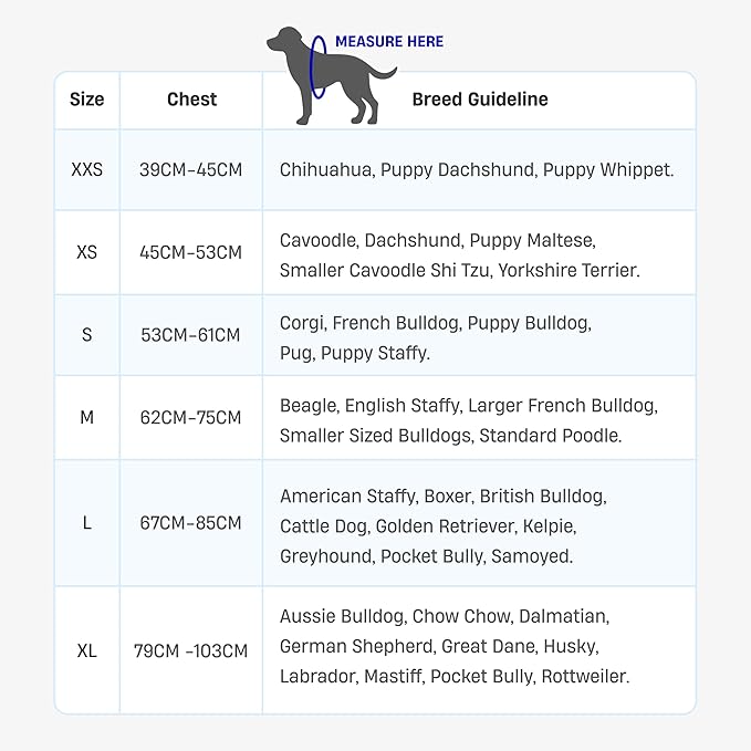 DF Co. Dog Harness | Chafe Resistant Webbing, Adjustable Neck & Chest, and Heavy Duty D-Ring | Sturdy, Comfortable, Easy to Use | Sky Blue, Size XS