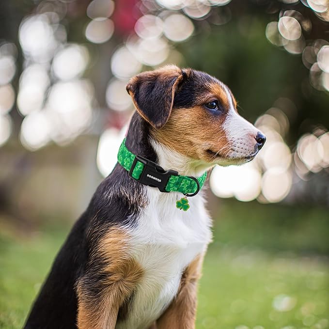 DOGWONG St. Patrick's Day Dog Collar, Cute Green Clover Dog Collars, Adjustable St. Patrick's Day Pet Collars Design Dog Collar with Quick Release Buckle for Boy Female Dogs
