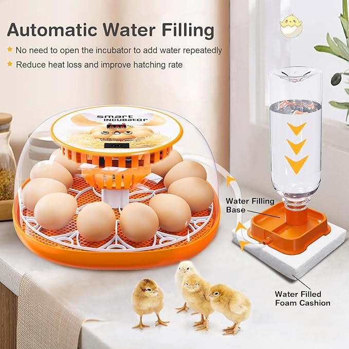 12 Egg Incubator with Automatic Egg Turning and Temperature Control, Automatic Water Adding, LED Egg Candler, Incubators for Hatching Eggs, Chickens, Ducks, Quail, Goose Eggs