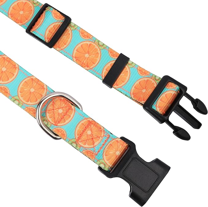 Reflective Dog Collar, Adjustable Soft Neoprene Padded Nylon Pet Collars with Buckle for Puppy and Small Dogs, Cats, Summer Lemon,XL