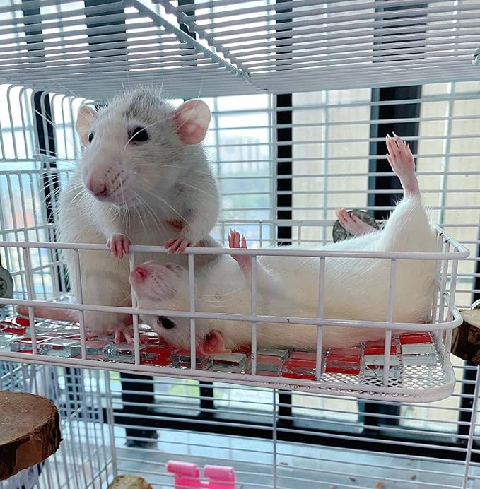 Rat Cage Platform, All-Metal Basket Chew-Proof Design, Chinchilla Toys and Cage Accessories Ledge Ramp fit Ferret, Guinea Pig, Sugar Glider