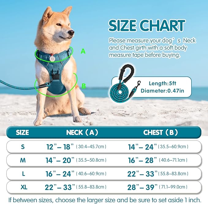 PoyPet No Pull Dog Harness and 5 Feet Leash Set, Release on Neck Reflective Adjustable Pet Vest, Front & Back 2 D-Ring and Soft Padded Pet Harness with Handle for Small to Large Dogs(Tumalo Teal,S)