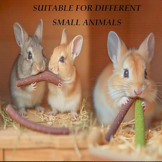 Rabbit Toys 285g/10oz 4 in 1 Bunny Chew Treats for Grinding Teeth Guinea Pig Biting Toy Hamster Molar Food Timothy Sticks Sweet Bamboo Apple Branch Dental Snacks for Small Animals Rodent