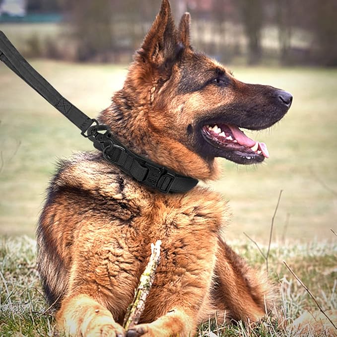 Tactical Dog Collar and Leash Set Heavy Duty Military Dog Collar with Handle and Metal Buckle for Medium and Large Dogs (Black, L)