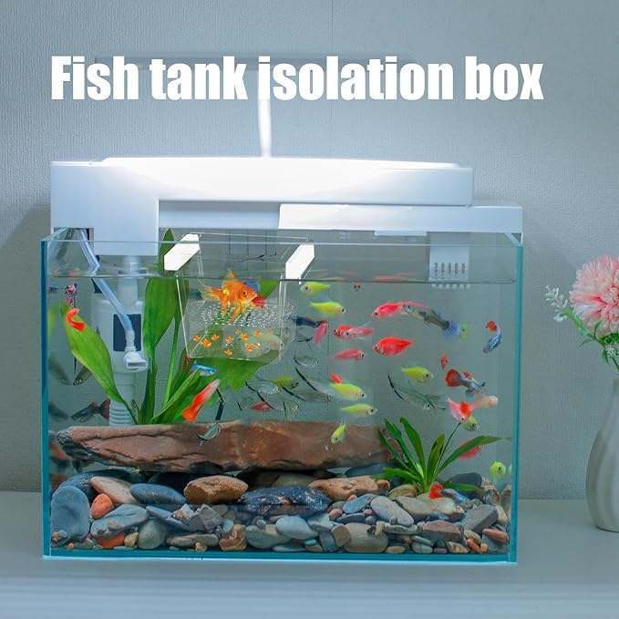 Fish Hatching Container - Floating Fish Breeder Box for Aquarium, Isolation & Hatchery Tank | Fish Nursery Box, Divider Incubator Container for Betta Fry Guppy Angelfish Acclimation & Feeding