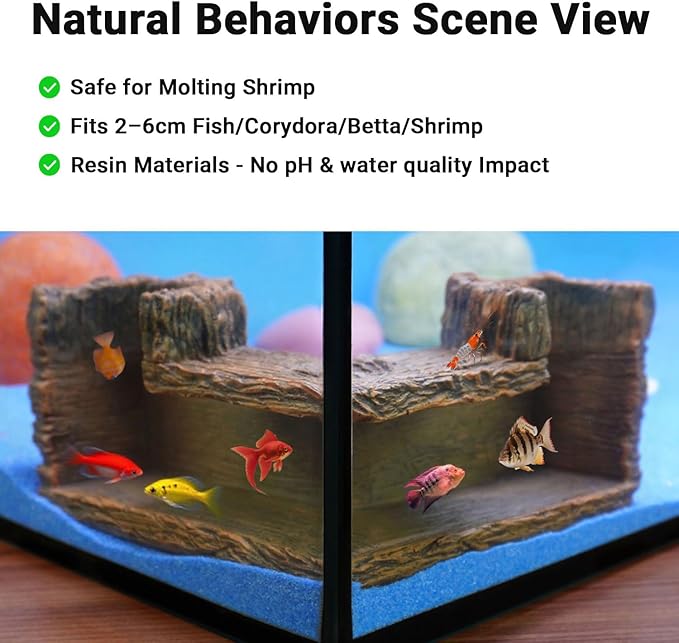 Underground Resin Stump Dual Hole Hideout - View Fish & Shrimp in Natural Corner Tunnel | 5.1×5.1×2.8" | Ideal for Corydora, Betta, Shrimp
