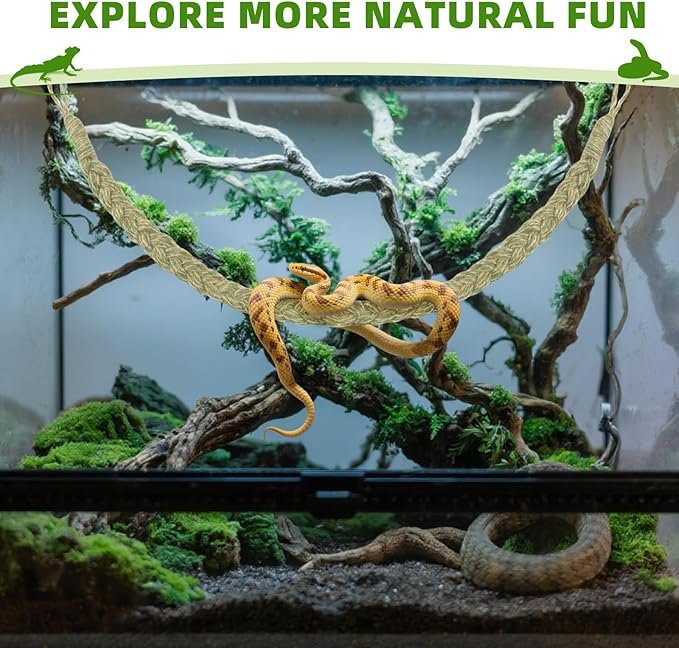 Snake Climbing Rope,Snakes Ladders Toys, Snake Enrichment Supplies, Small Reptile Tank Accessories, Reptile Climbing Toys for Ball Python Corn Hermit Crab Lizards Geckos (Green)