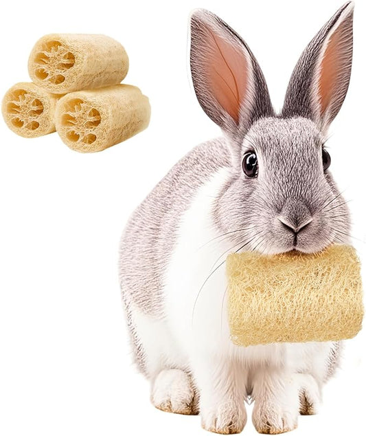 3 PCS Rabbit Chew Toys,100% Natural Loofah Without Additives,Bunny Chew Toys for Teeth,Fiber-Rich Rabbit Treats for Bunny Chinchilla Dogs