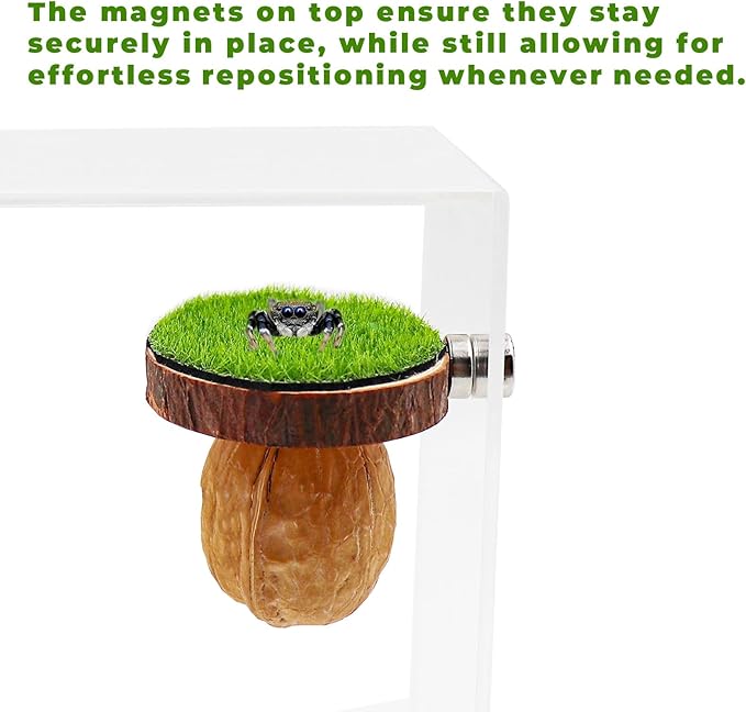 2 Pack Jumping Spider Enclosure Accessories, Magnetic Walnut Hide with Wooden Platform, Plastic Grass Topper, Spider Hideout with Moss for Terrariums