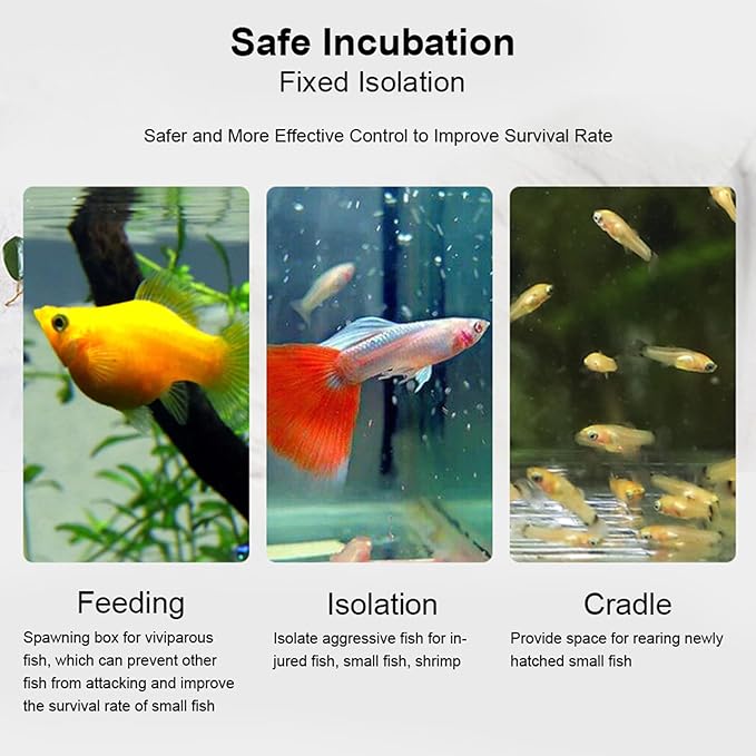 Fish Separation Box, Acrylic Transparent Fish Tank Breeding Isolation Box Aquarium Hatchery Incubator Holder(30CM*10CM*10CM)