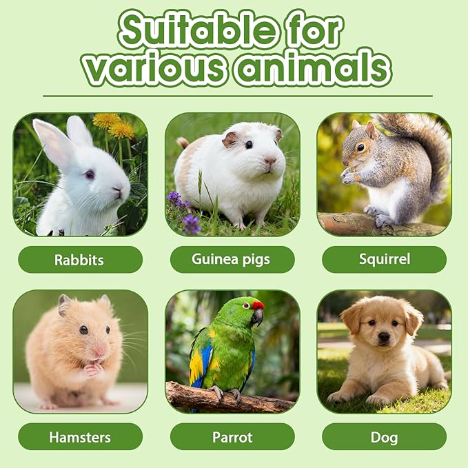 Abizoo Natural Rabbits Chew Toys Timothy Hay & Pine Wood Blocks for Guinea Pigs, Hamsters Small Animal Dental Care Digestion & Molar Health Vitamin Enriched Chewing Treats