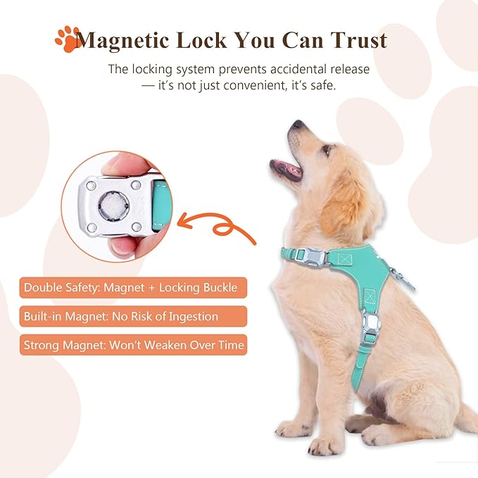 Magnetic Quick-Release Buckle Dog Harness and Leash Set, Easy Walk Faux Leather Puppy Harness and Leash, Easy On & Off Dog Vest for Small, Medium, Large Sized Girl Boy Dogs for Training, Teal,S