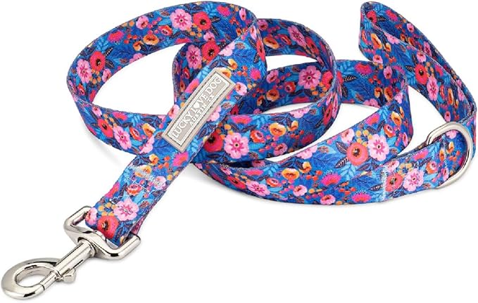 Lucky Love Dog Leash – Soft, Durable, and Comfortable Leash with Vibrant Patterns – Stylish and Long Lasting for Large Male and Female Dogs – Zuzu, Large