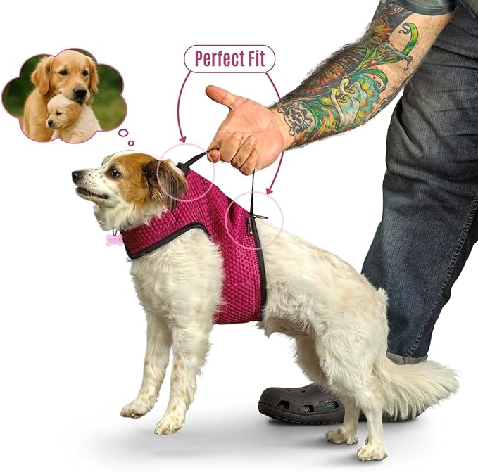 YAP Pet Performance Wrap®; Choke-Free Harness Large Size Dog, Anti-Static Pet Harness with Handle for Emergency, Reversible & Quick-Drying Mesh Dog Harness Compatible with Universal Seat Belt, Blue