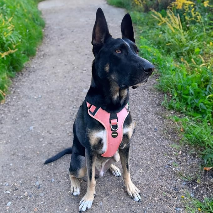 No Pull Dog Harness - Durable Polyester Puppy Harness with Front Anti-Pull Loop, Reflective Strips, and Quick-Release Clips for Small, Medium, and Large Dogs (Light Pink, Medium)