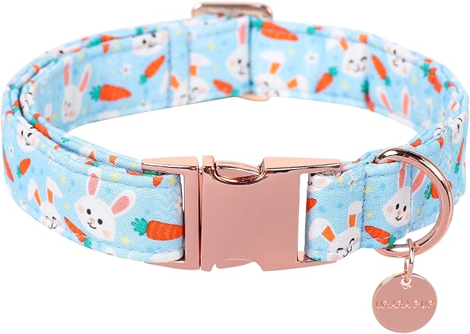 Easter Dog Collar, Cotton Easter Bunny Collar for Puppy Girl Boy Dog or Cat, Easter Gift Rabbit Carrot Dog Collar, Cute Carrot Pet Dog Collar with Metal Buckle, S