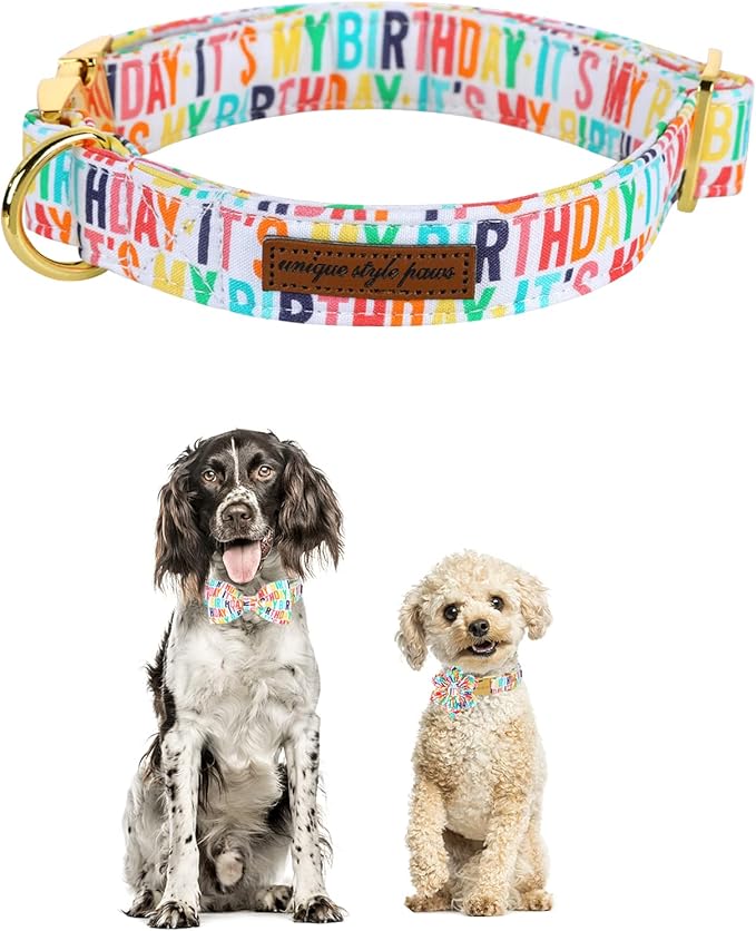 Unqiue Style Paws Birthday Dog Collar, Soft and Cute Dog Bow Tie, Durable Pet Collar with Bow Adjustable Bow Dog Collar for Small Dogs