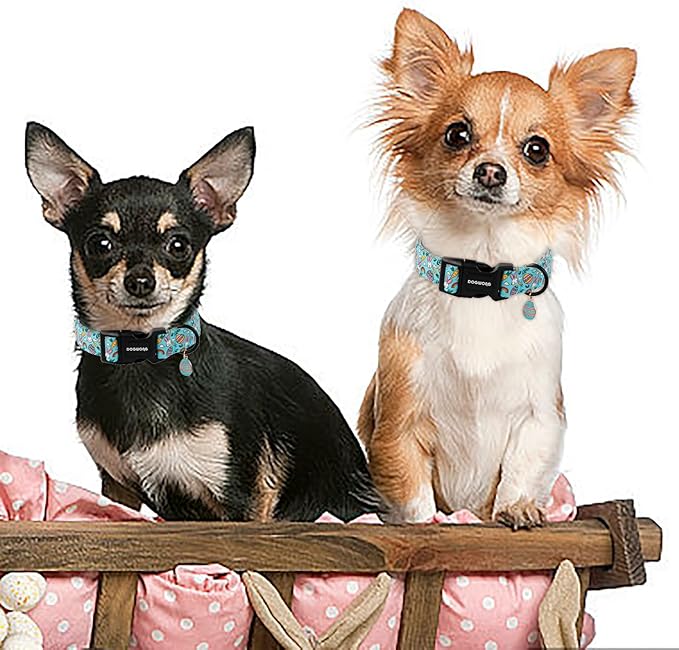 DOGWONG Easter Dog Collar- Cute Blue Babbit Egg Dog Collars Adjustable Designer Easter Day Puppy Heart Dog Collar for Small Medium Large Dogs XS